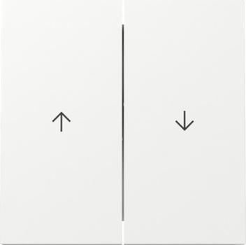 Gira 329470 Wippe "Jalousie" Flächenschalter glänzend