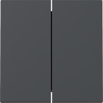 Gira System 55 anthrazit, Wippe "Serie" 329528