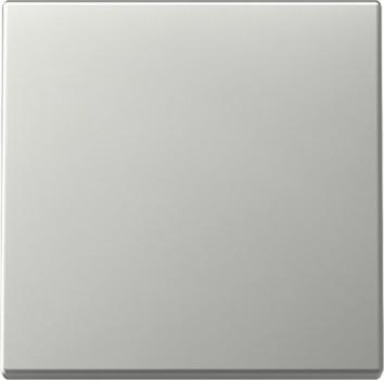 Gira 3296600 System 55 Wippe Edelstahl