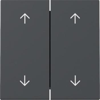 Gira 329728 System 55 Wippen mit Pfeilsymbolen Anthrazit
