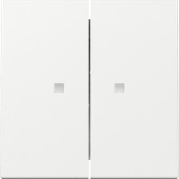 Gira 363103 System 55 Wippe 2-fach Serie mit Kontrollfenster reinweiss glänzend