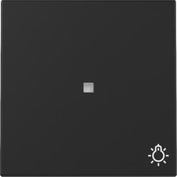 Gira 3674005 System 55 Kontrollwippe und Symbol Licht Schwarz matt