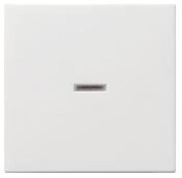 Gira 029027 System 55 Kontrollwippe Reinweiß seidenmatt ***RESTPOSTEN***