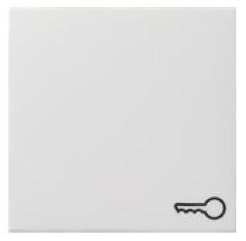 Gira 028727 System 55 Wippe mit Symbol Tür Reinweiß seidenmatt ***RESTPOSTEN***