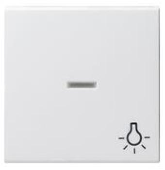 Gira 067427 System 55 Kontrollwippe und Symbol Licht Reinweiß seidenmatt ***RESTPOSTEN***