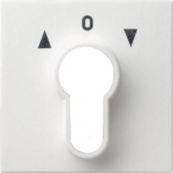 Gira 066427 System 55 Abdeckung für Schlüsselschalter und Schlüsseltaster Reinweiß seidenmatt