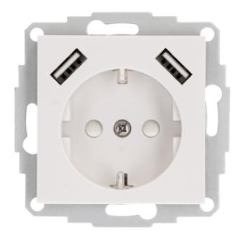 TeMo T&More® Schuko Steckdose mit USB Ports, 2x USB-A, max. 3.4A, passend zu 55er Schalterserien (Busch Jäger, Gira, Jung, Merten)(2900135TEM)***RESTPOSTEN***