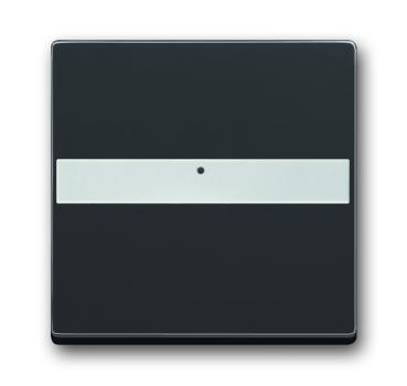 Busch-Jaeger Wippe mit Beschriftungsfeld 1764 NLI-885 schwarz matt