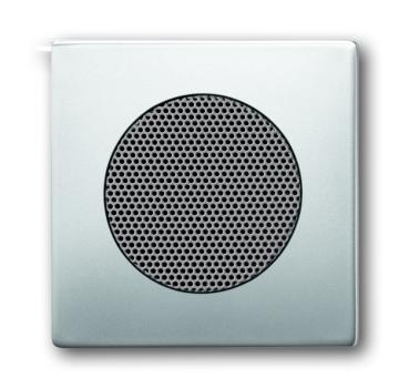 Busch-Jaeger Zentralscheibe 8253-866 pur edelstahl