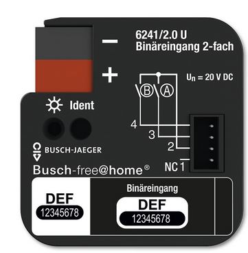 Free clearance 2.0 kaufen