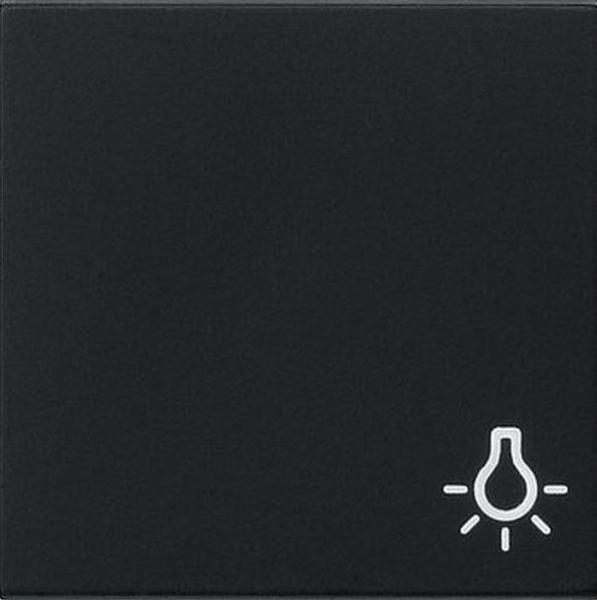 Gira 0285005 System 55 Wippe mit Symbol Licht Schwarz matt ***RESTPOSTEN***