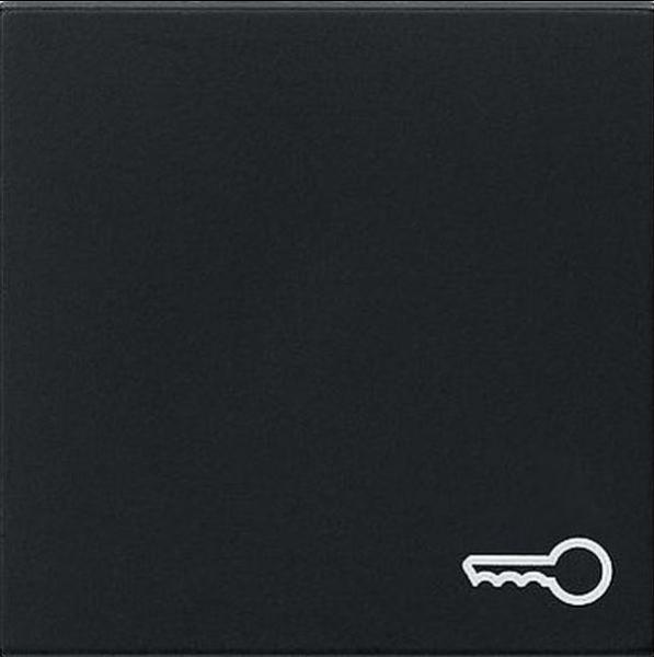 Gira 0287005 System 55 Wippe mit Symbol Tür Schwarz matt