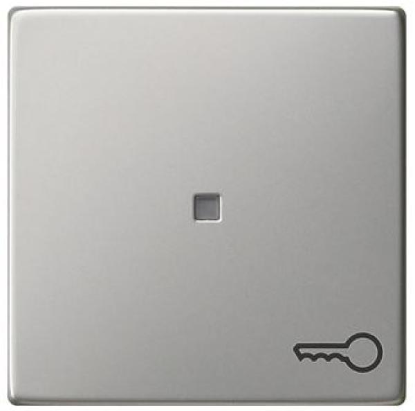 Gira 0287600 System 55 Wippe mit Symbol Tür Edelstahl ***RESTPOSTEN***