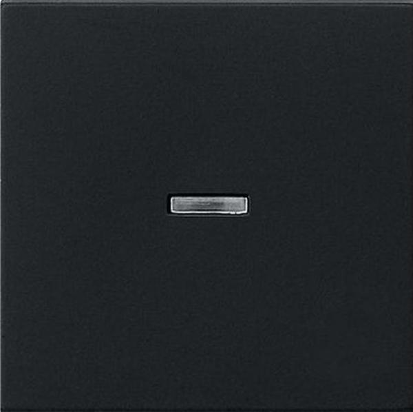 Gira 0290005 System 55 Kontrollwippe Schwarz matt ***RESTPOSTEN***