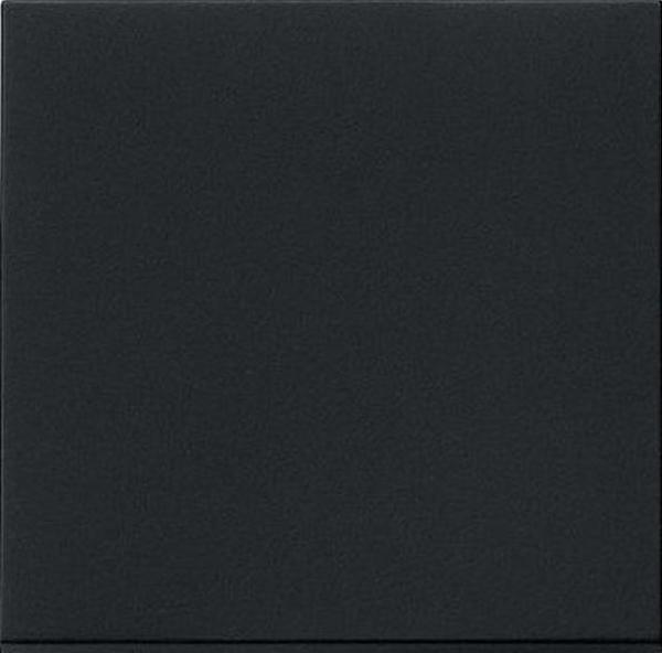 Gira 5360005 System 3000 System 55 Bedienaufsatz Standard Schwarz matt