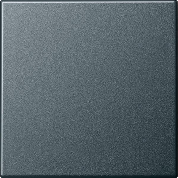 Gira System 55 anthrazit, Wippe "Aus/Wechsel" für Schalter und Taster 029628 ***RESTPOSTEN***