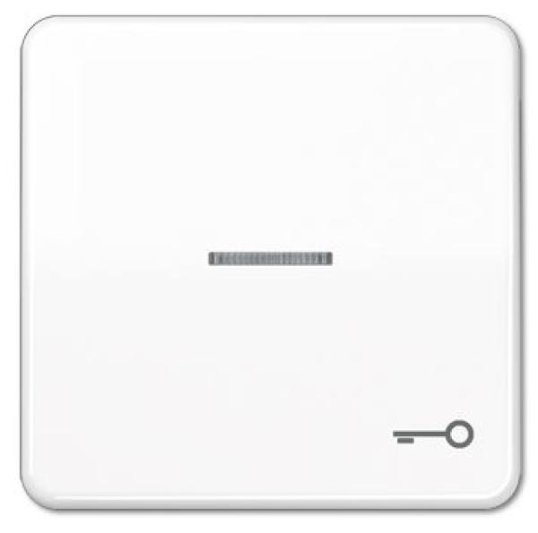 Jung CD590KO5TWW Wippe mit Symbol """"Tür"""", mit Kontrollfenster alpinweiss ***RESTPOSTEN***
