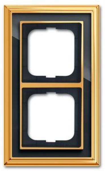 Busch-Jaeger 1722-835 Busch-dynasty Abdeckrahmen 2-fach Rahmen Messing poliert anthrazit