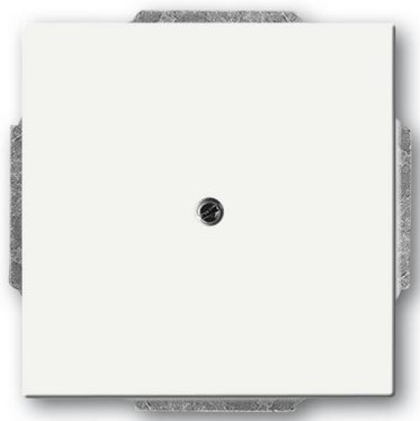 Busch-Jaeger 1742-884 future linear Blindzentralscheibe mit Tragring studioweiß matt