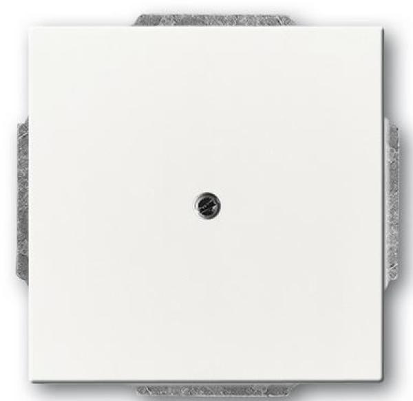 Busch-Jaeger 1749-884 future linear Zentralscheibe mit Tragring studioweiß matt