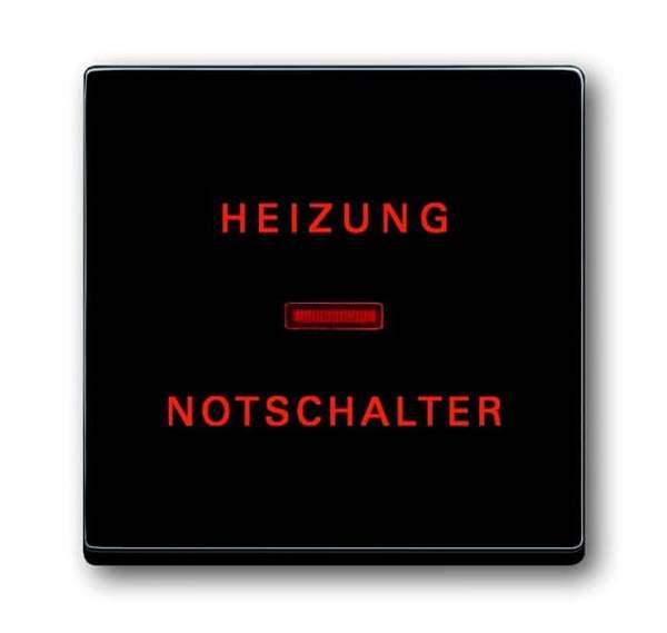 Busch-Jaeger 1789 H-81 Busch-dynasty Wippe mit Aufdruck mit kleiner roter Kalotte anthrazit (glanz)