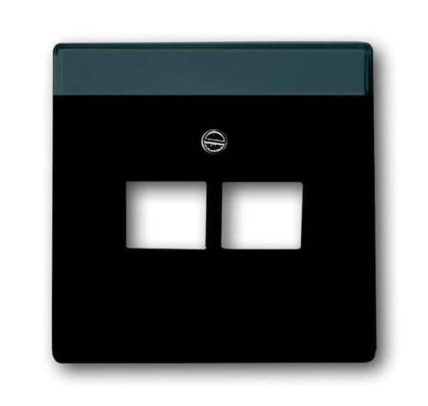 Busch-Jaeger 1803-02-81 Busch-dynasty Zentralscheibe 2-fach anthrazit (glanz)