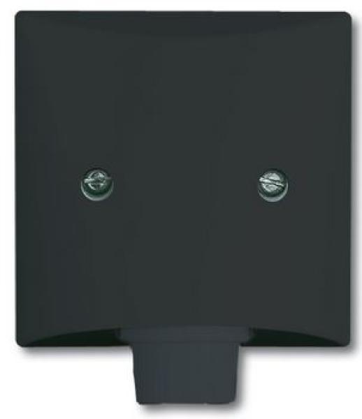Busch-Jaeger 2133-35 Zentralscheibe mit Tragring Allwetter 44 (IP44) anthrazit