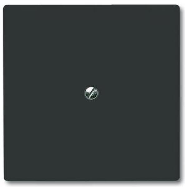Busch-Jaeger 2138-35 Blindzentralscheibe mit Tragring Allwetter 44 (IP44) anthrazit