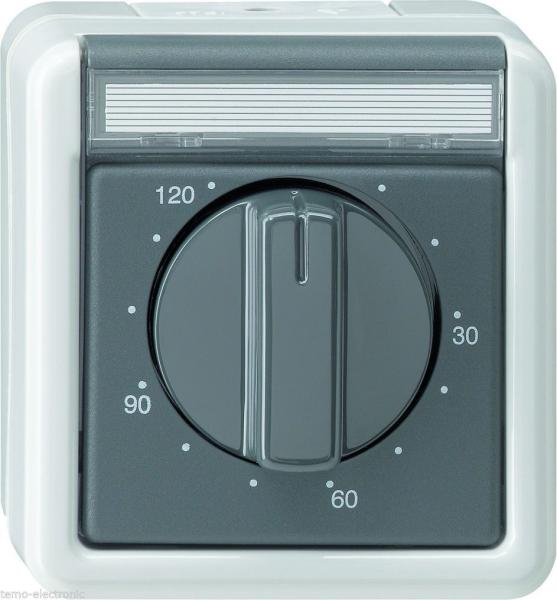 GIRA Aufputz System IP 44 Grau Zeitschalter 120 Minuten 032130