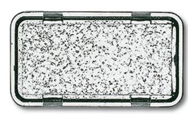 Busch-Jaeger 2622 N-101 Tastersymbol neutral Allwetter 44 (IP44) glasklar