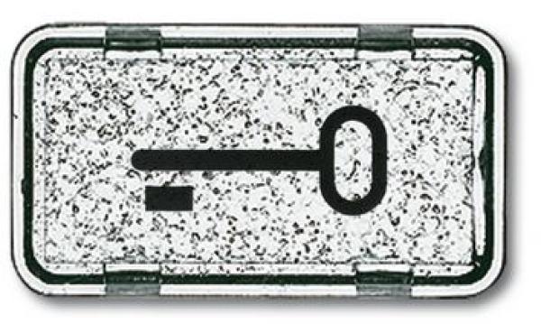 Busch-Jaeger 2622 TR-101 Tastersymbol Schlüssel Allwetter 44 (IP44) glasklar