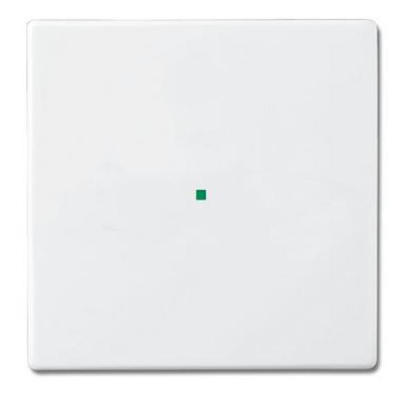 Busch-Jaeger 6230-10-84 Busch-free@home Wippe future® linear 1-fach, ohne Bedruckung studioweiß