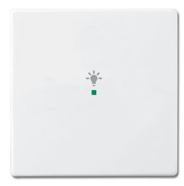 Busch-Jaeger 6231-10-84 Busch-free@home Wippe future® linear 1-fach, mit Symbol "Licht" studioweiß