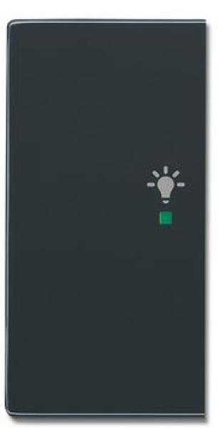 Busch-Jaeger 6231-21-81 Busch-free@home Wippe future® linear 2-fach links, mit Symbol "Licht" anthrazit