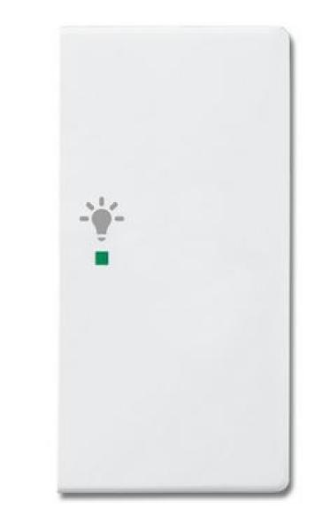 Busch-Jaeger 6231-22-84 Busch-free@home Wippe future® linear 2-fach rechts, mit Symbol "Licht" studioweiß