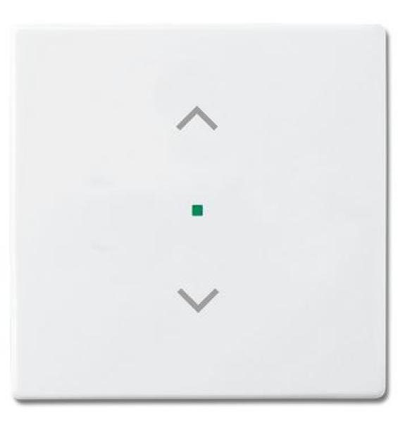 Busch-Jaeger 6232-10-84 Busch-free@home Wippe future® linear 1-fach, mit Symbol "Jalousie" studioweiß