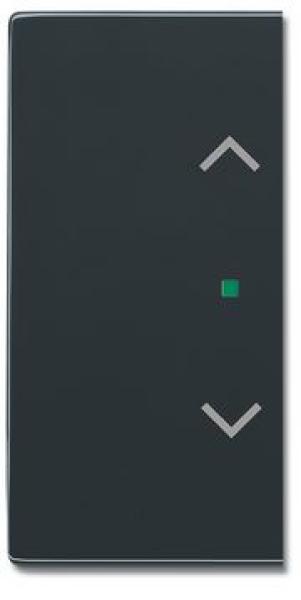 Busch-Jaeger 6232-20-81 Busch-free@home Wippe future® linear 2-fach links/rechts, mit Symbol "Jalousie" anthrazit