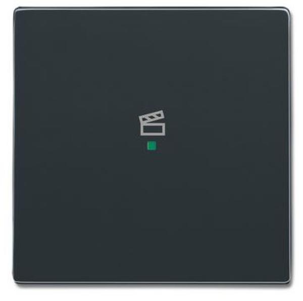 Busch-Jaeger 6233-10-81 Busch-free@home Wippe future® linear 1-fach, mit Symbol "Szene" anthrazit