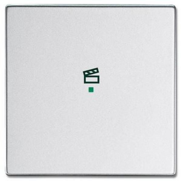 Busch-Jaeger 6233-10-83 Busch-free@home Wippe future® linear 1-fach, mit Symbol "Szene" alusilber