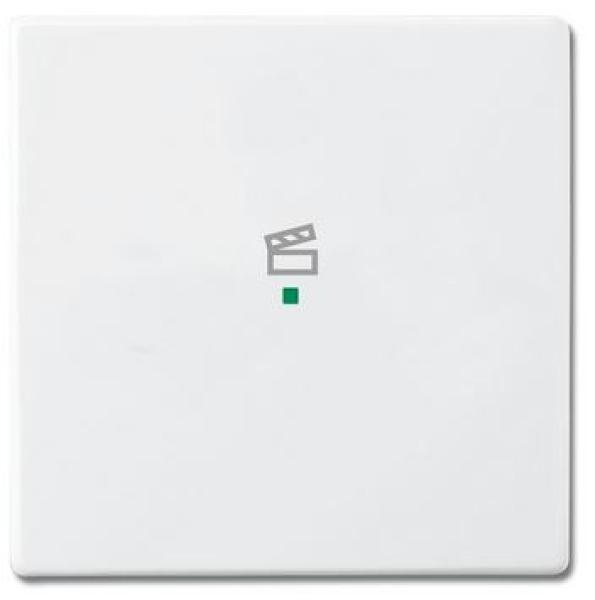 Busch-Jaeger 6233-10-84 Busch-free@home Wippe future® linear 1-fach, mit Symbol "Szene" studioweiß