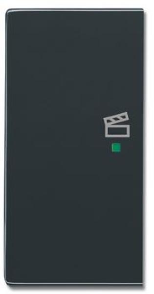 Busch-Jaeger 6233-21-81 Busch-free@home Wippe future® linear 2-fach links, mit Symbol "Szene" anthrazit