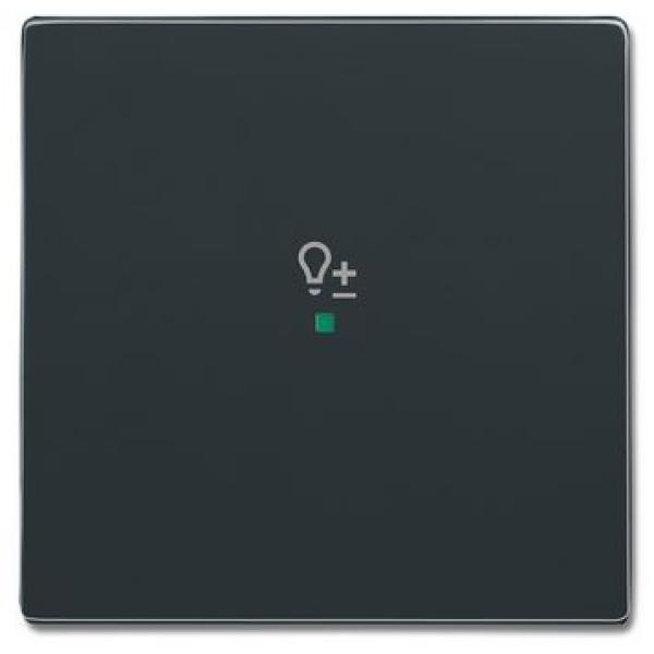 Busch-Jaeger 6234-10-81 Busch-free@home Wippe future® linear 1-fach, mit Symbol "Dimmer" anthrazit
