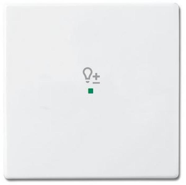 Busch-Jaeger 6234-10-84 Busch-free@home Wippe future® linear 1-fach, mit Symbol "Dimmer" studioweiß