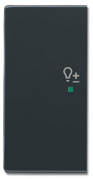 Busch-Jaeger 6234-21-81 Busch-free@home Wippe future® linear 2-fach links, mit Symbol "Dimmer" anthrazit