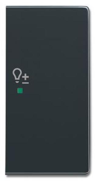 Busch-Jaeger 6234-22-81 Busch-free@home Wippe future® linear 2-fach rechts, mit Symbol "Dimmer" anthrazit