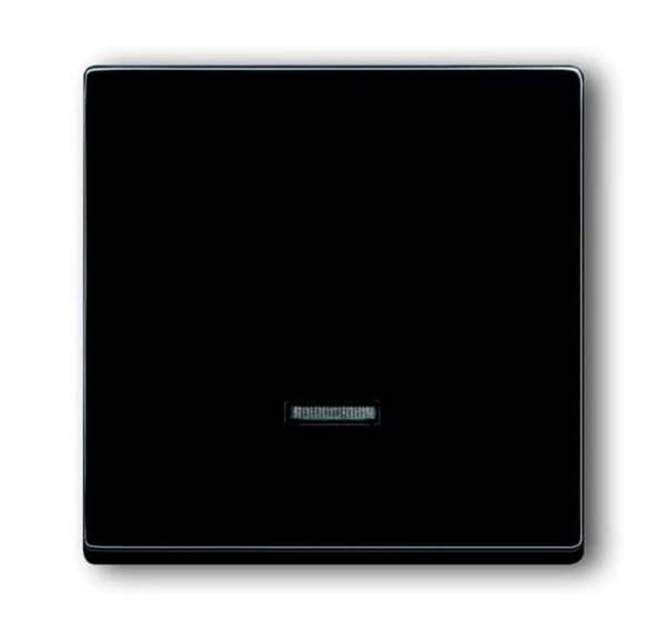 Busch-Jaeger 6543-81-101 Busch-dynasty Bedienelement mit Glimmlampe anthrazit (glanz)