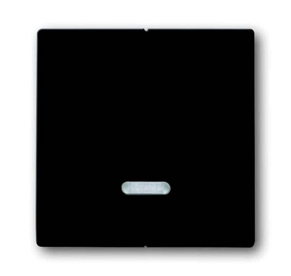 Busch-Jaeger 6545-81 Busch-dynasty Bedienelement mit Glimmlampe anthrazit (glanz)
