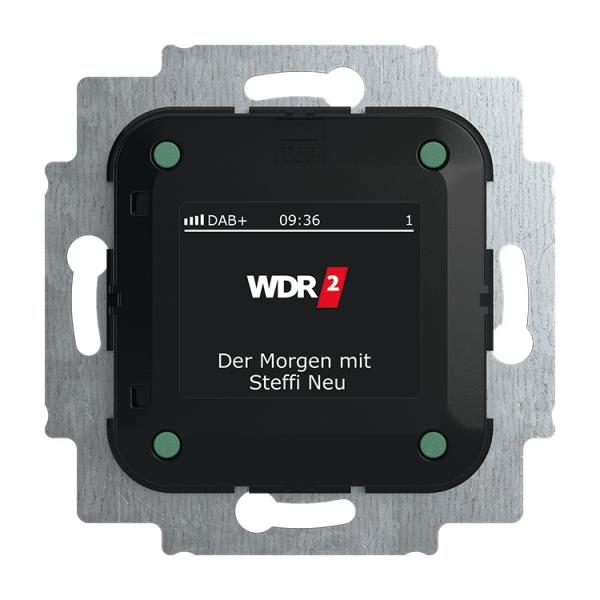 Busch-Jaeger Radio DAB+ 8215 U-101