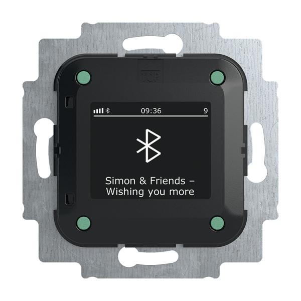 Busch-Jaeger BTconnect Radio DAB+ 8217 U-101 mit Bluetooth