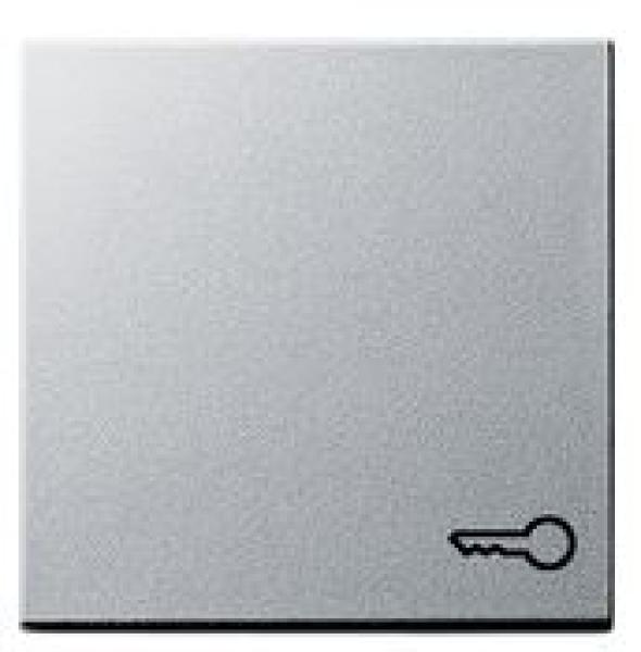 Gira 028726 System 55 Wippe mit Symbol Tür Farbe Aluminium lackiert